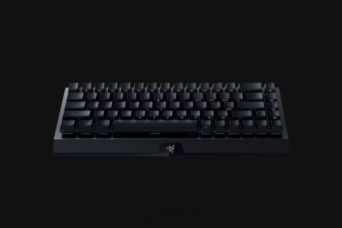 blackwidow v3 mini hyperspeed - fantoomväljaanne - kollane lüliti - meie Razer RF2D64 must klaviatuur