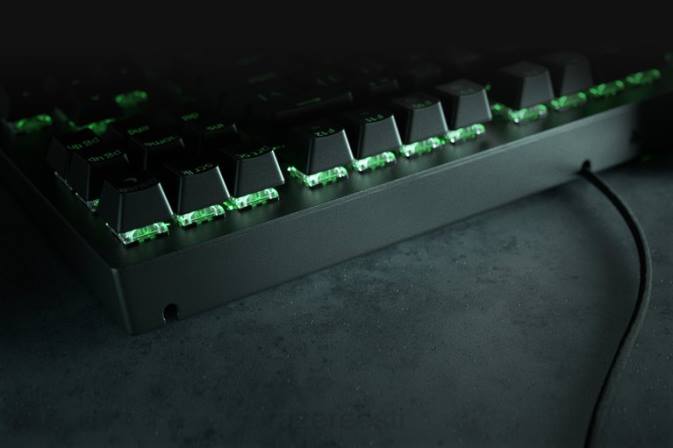 blackwidow v3 tenkeyless - kollane lüliti - meie Razer RF2D62 must klaviatuur